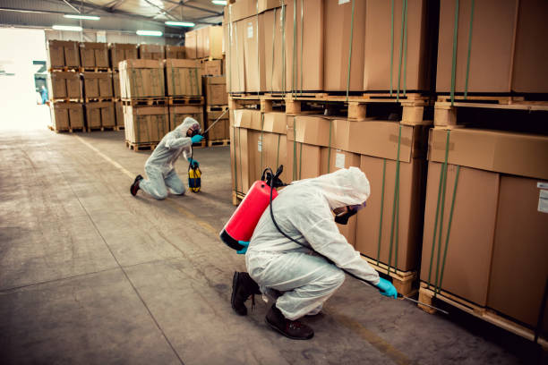 Best Pest Removal Services  in Onarga, IL