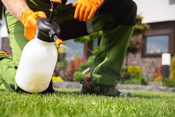 Best Pest Control for Businesses  in Onarga, IL