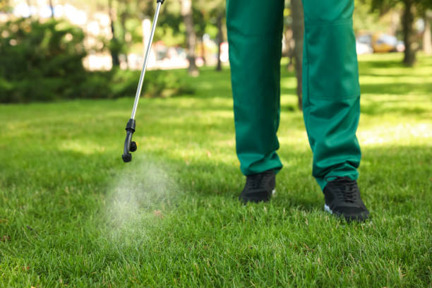 Best Emergency Pest Control  in Onarga, IL