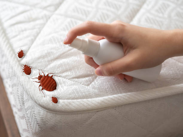 Best Exterminator Services  in Onarga, IL