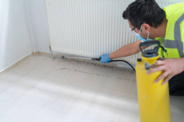 Best Flea Control Services  in Onarga, IL